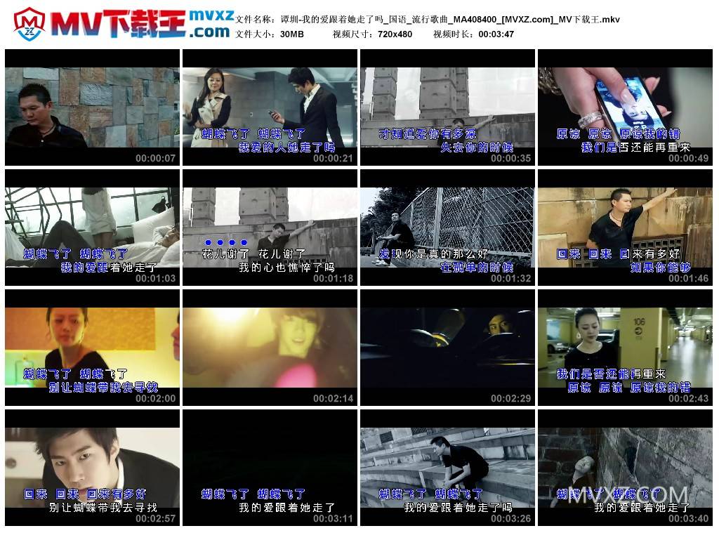 谭圳-我的爱跟着她走了吗_国语_流行歌曲_MA408400